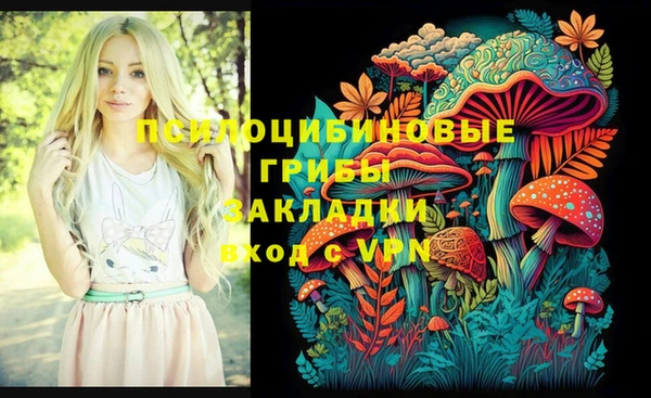 мдпв Белокуриха